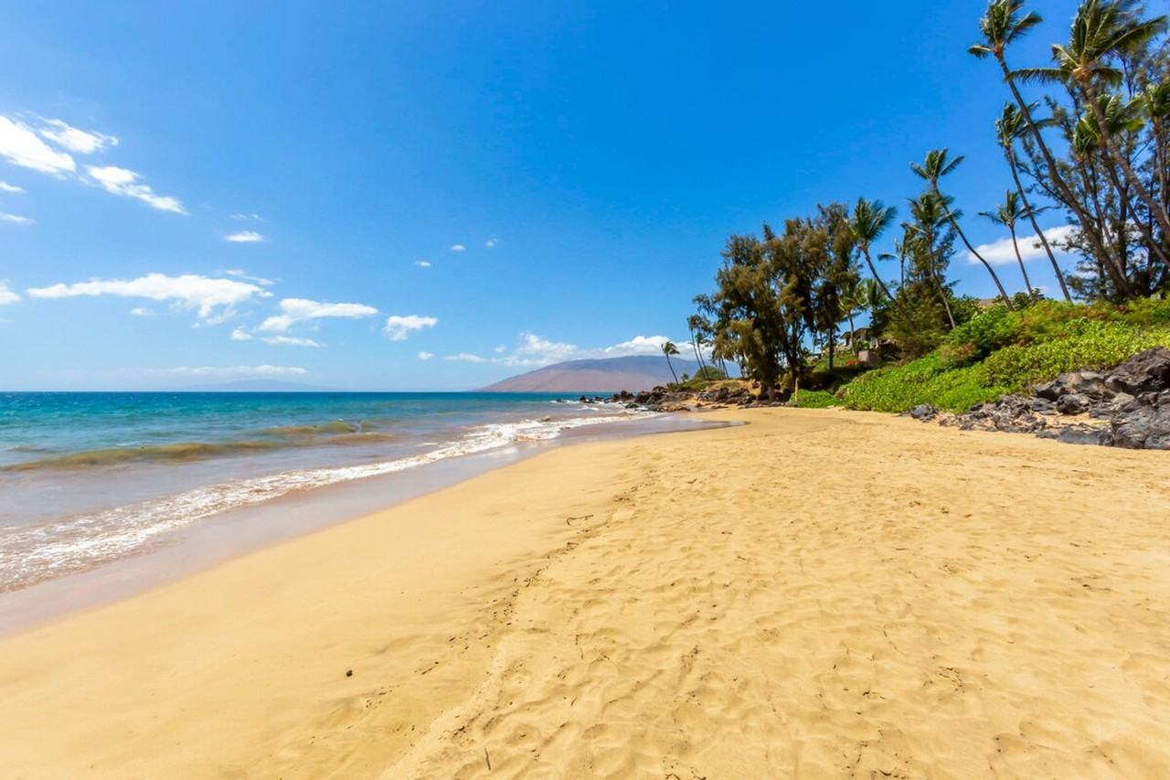 2575 S Kihei Rd #1237859P - Photo 3 of 49