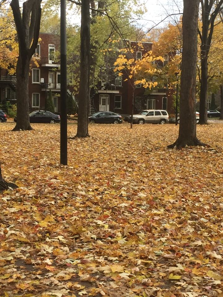 Rue Marc Sauvalle & Rue de Champigny - Photo 2 of 17