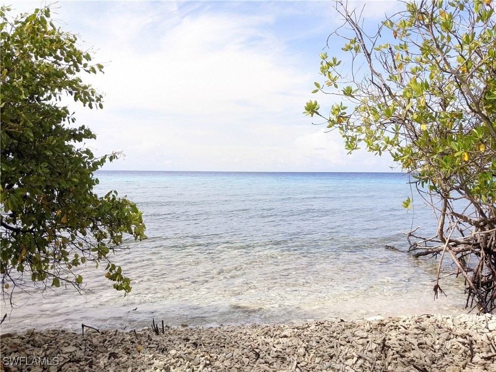 5266 Crestline Ter - Photo 6 of 19