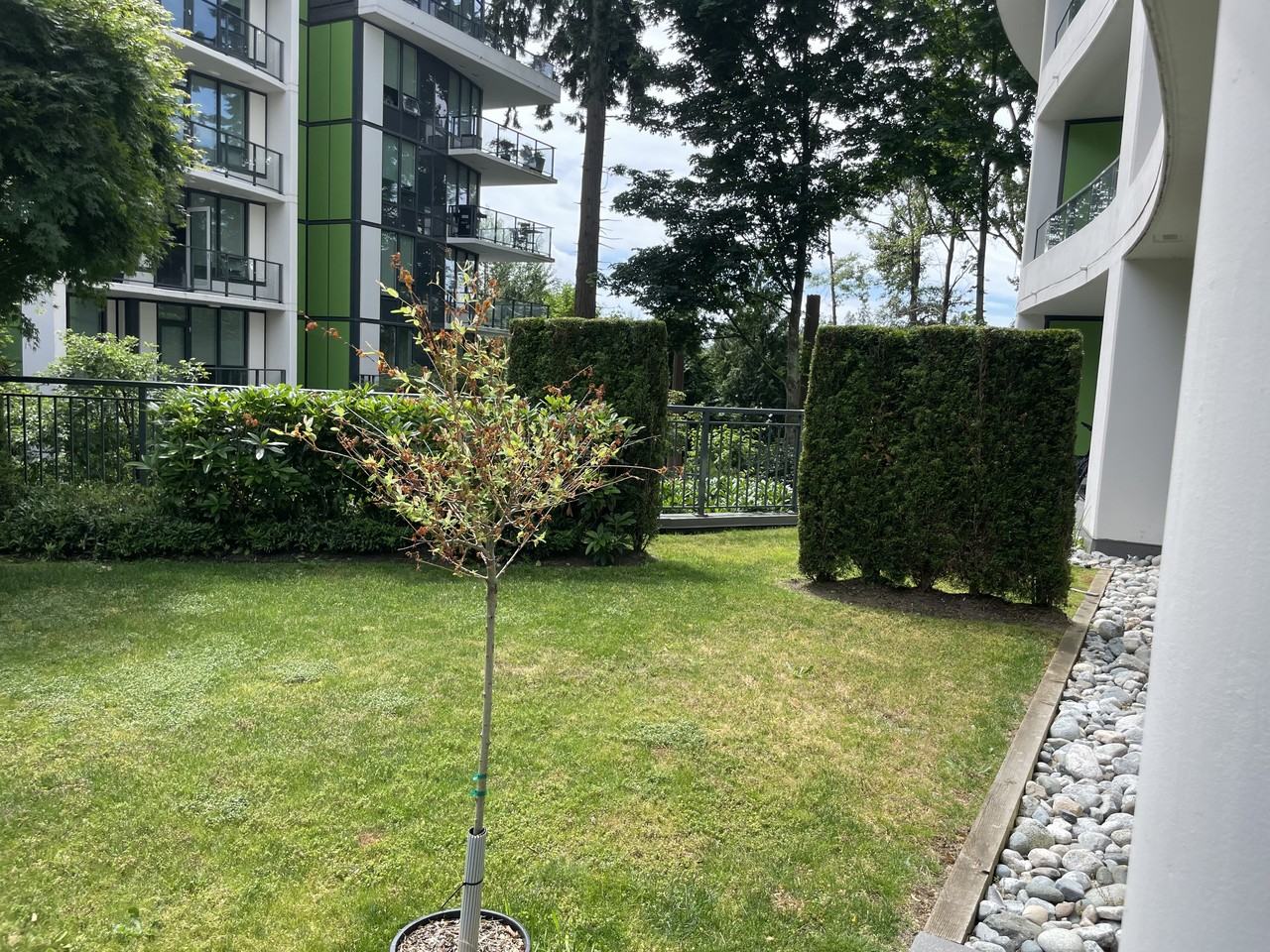 3533 Ross Drive - Photo 9