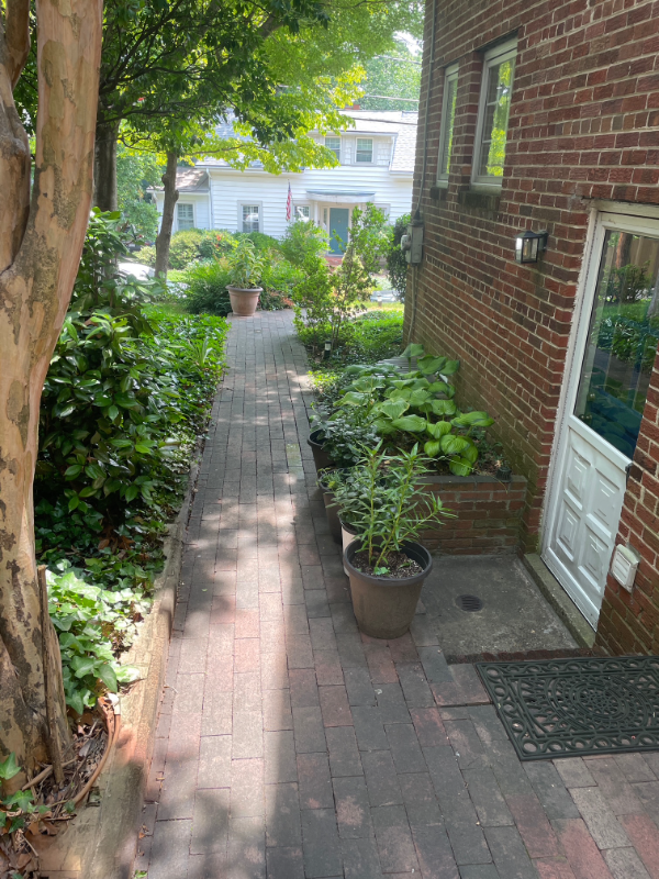 2502 Sanford St - Photo 2 of 13