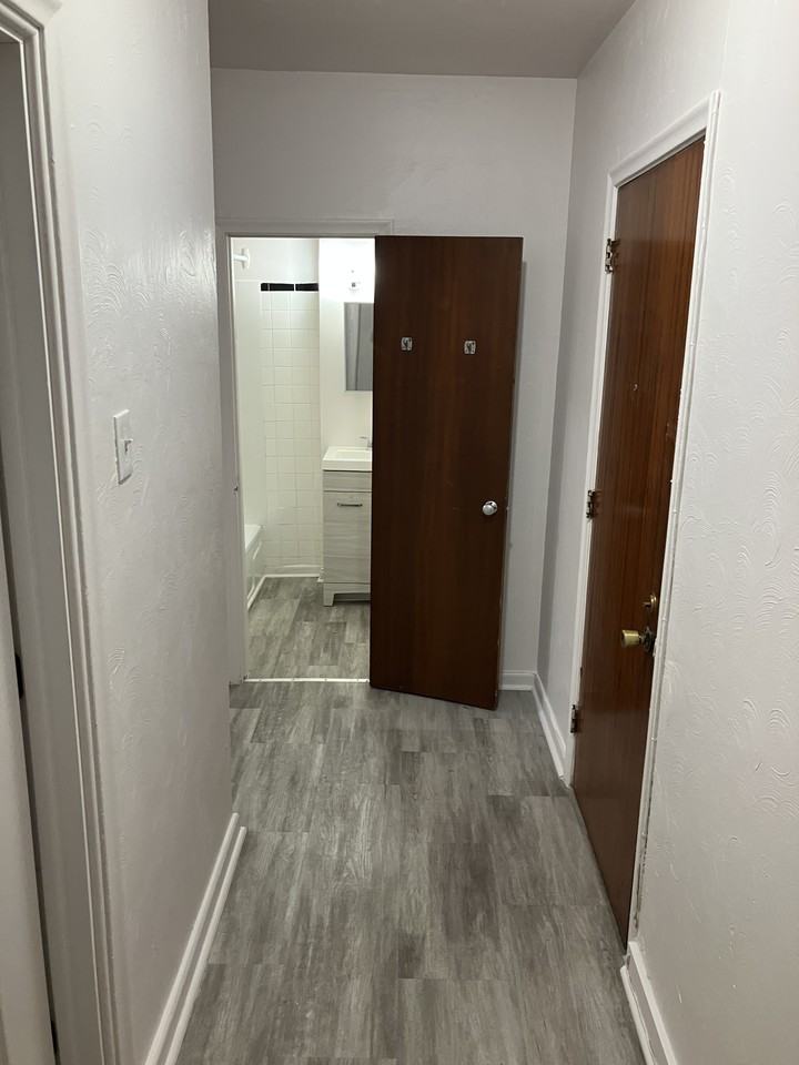 257 Daly Avenue #3 - Photo 5 of 17
