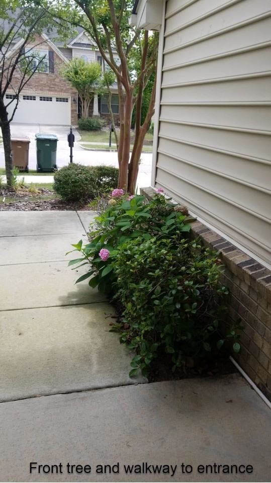 308 Windy Peak Loop #NA - Photo 3 of 42