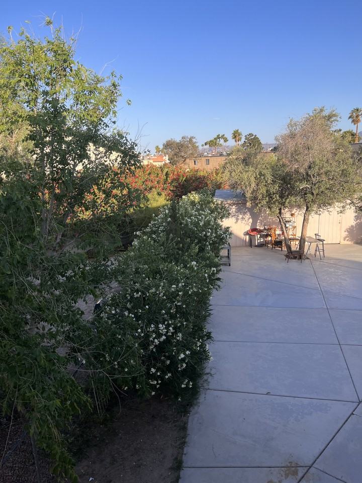 1367 Pattee Cir #C - Photo 5 of 11