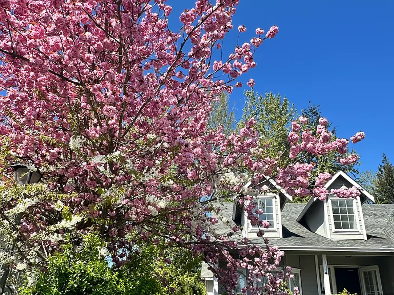 35319 25th Pl S - Photo 3 of 13