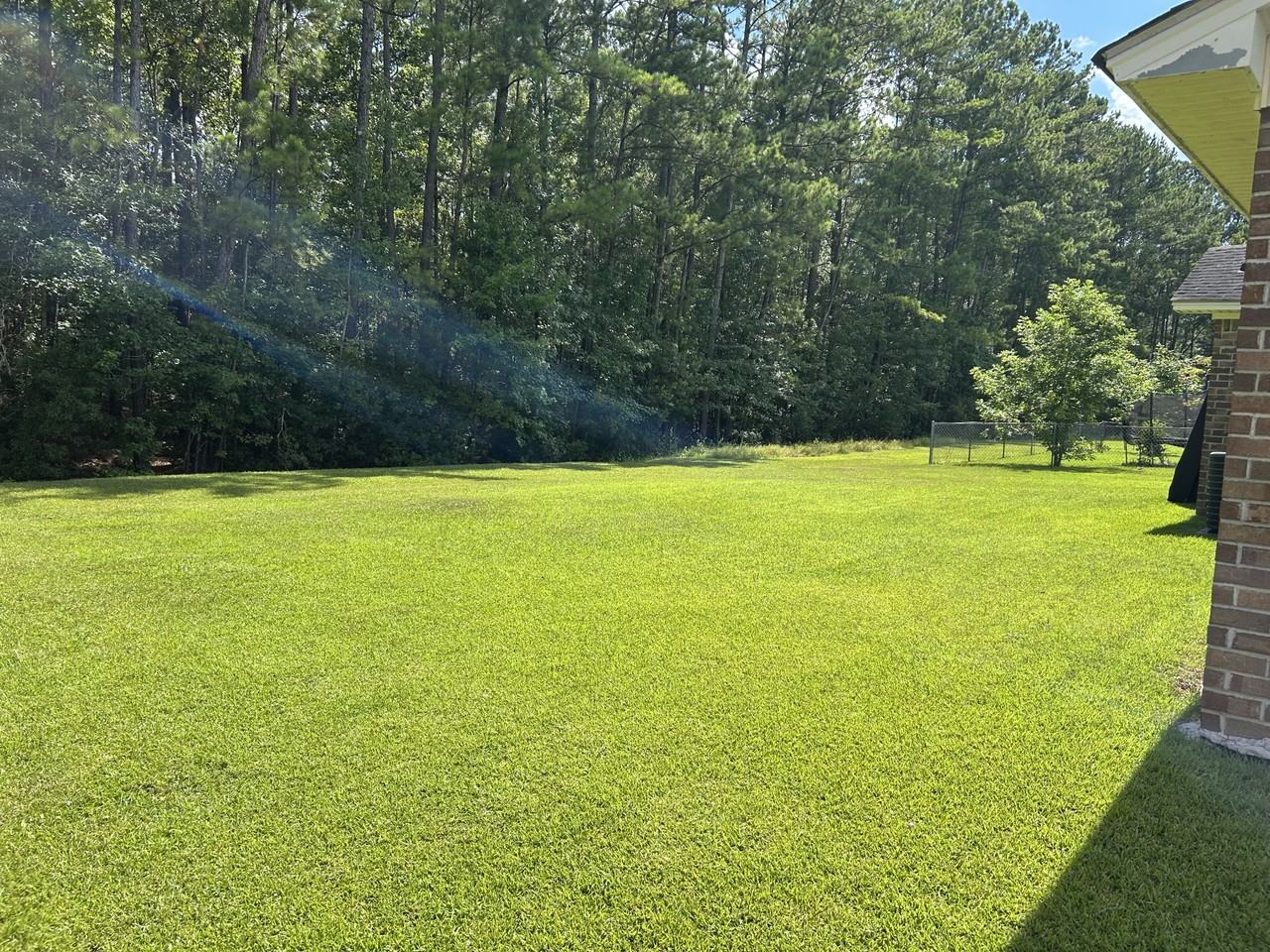 1289 Homer City Way #NA - Photo 6 of 15