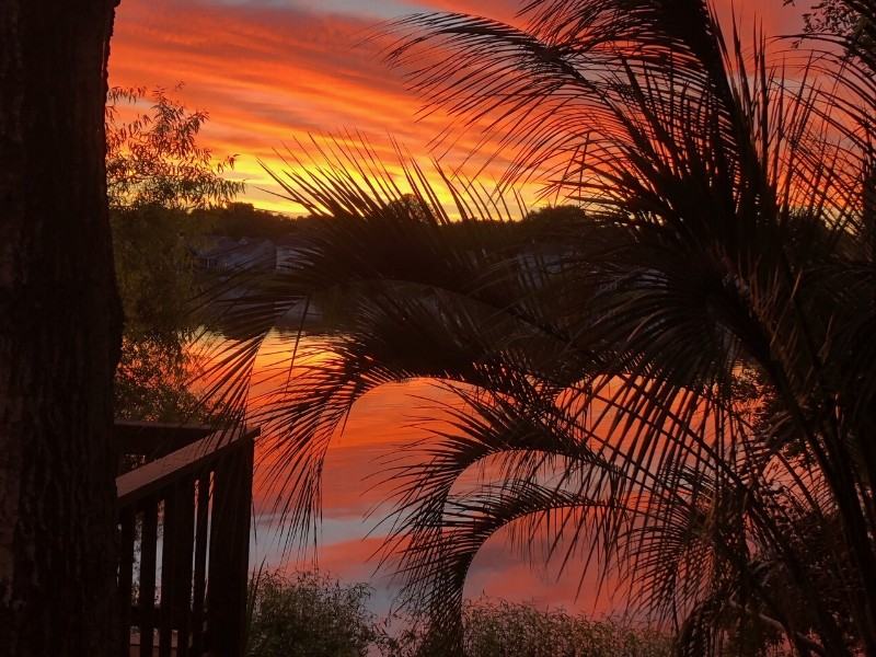 1503 Harborsun Drive - Photo 2 of 20