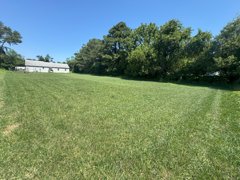 3164 Walnut Shade Rd - Photo 3 of 19