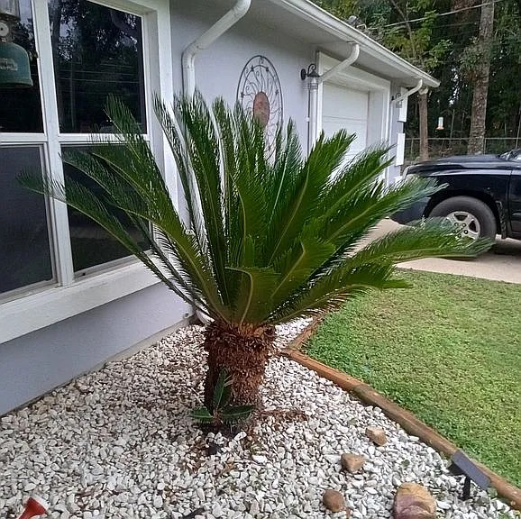 7670 Whiting Field Cir - Photo 2 of 8