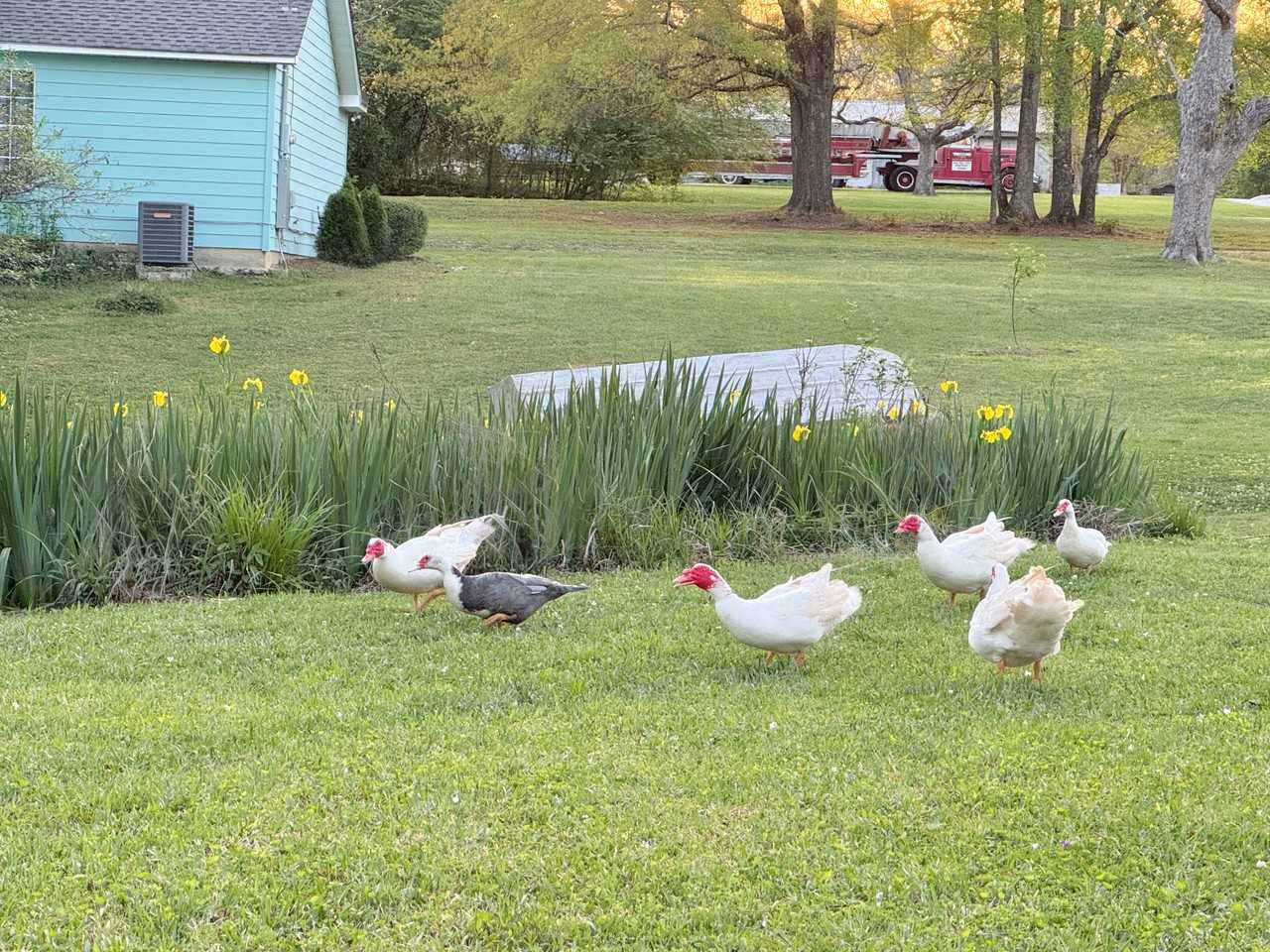 48 Lee Road 2060 #NA - Photo 2 of 17