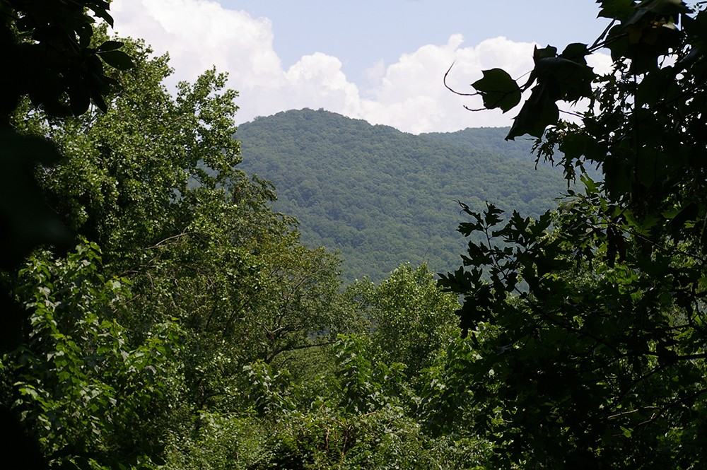 103 Stardust Dr - Photo 3 of 15