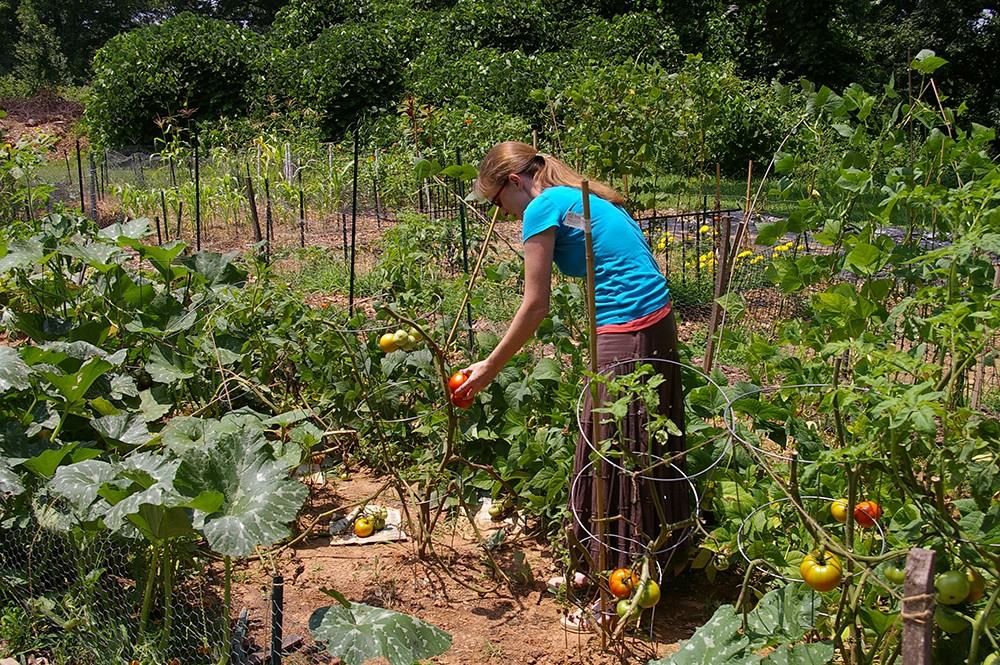 103 Stardust Dr - Photo 4 of 15