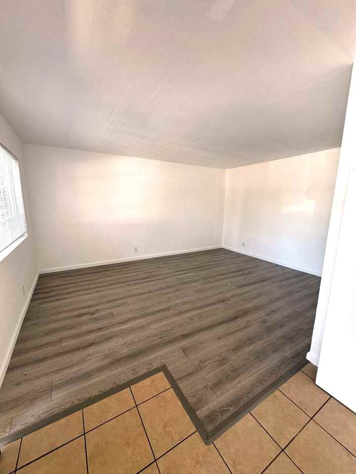 302 Dumont Ave #1 - Photo 6 of 14