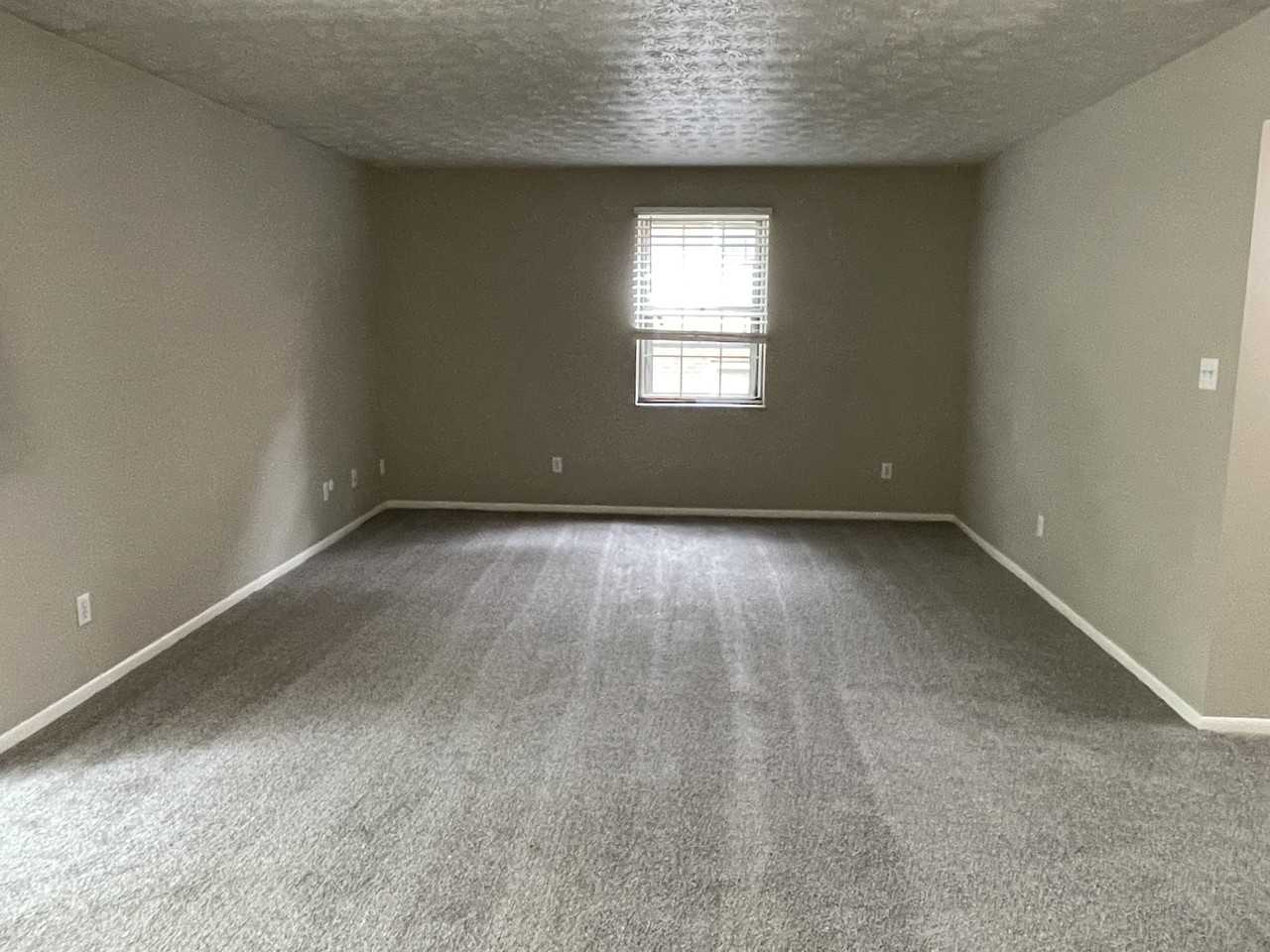 1326 Black Forest Dr #B - Photo 5 of 12