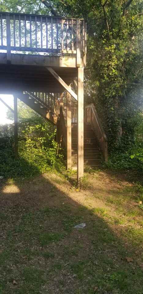 914 New Bern Ave #NA - Photo 7 of 10