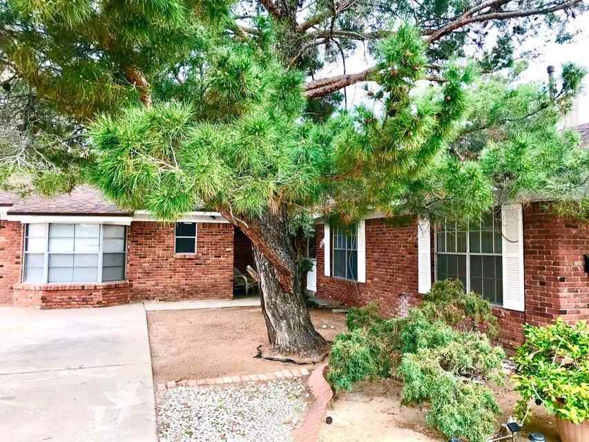 9426 Turrentine Dr - Photo 3 of 17