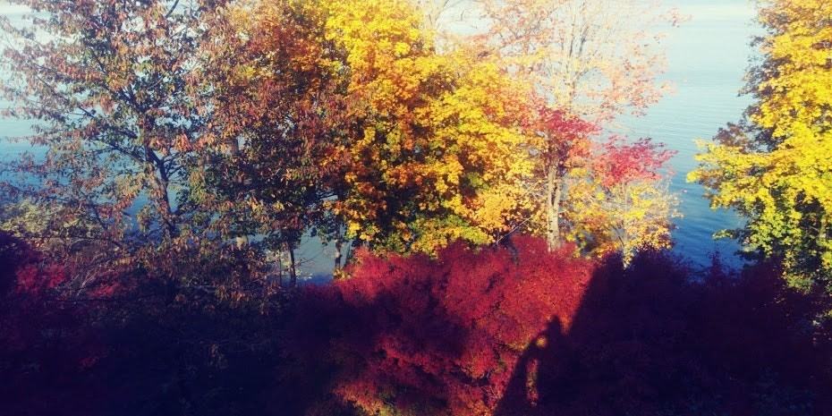 34 Riverside Avenue, Unit A - Photo 6 of 18