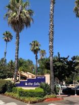 11235 Avenida De Los Lobos #D - Photo 1 of 1