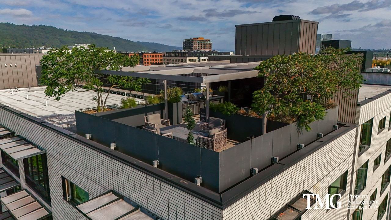 Muse Apartments - Photo 5 of 50