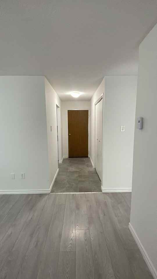 467 Chamberlain Street #203 - Photo 4 of 12