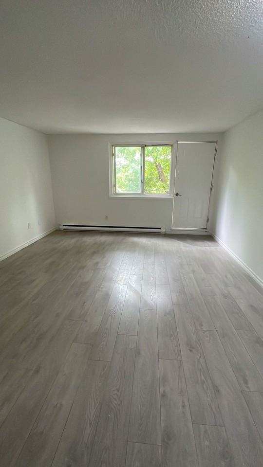 467 Chamberlain Street #203 - Photo 5 of 12