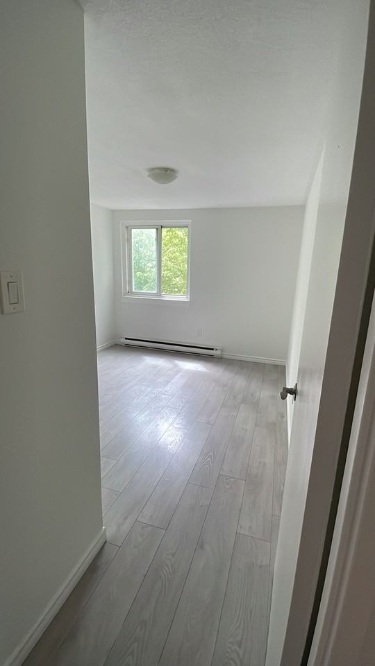 467 Chamberlain Street #203 - Photo 6 of 12