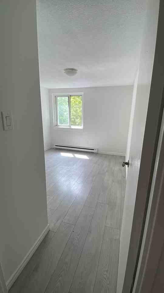 467 Chamberlain Street #203 - Photo 7 of 12