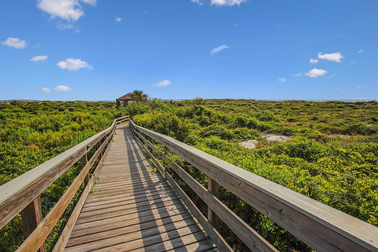 120 Ocean Hibiscus Dr #1253554P - Photo 7 of 50