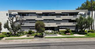 Encino Voltaire - Photo 1 of 1