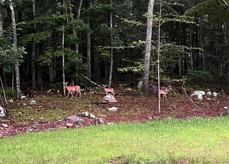 244 New London Tpke - Photo 3 of 6