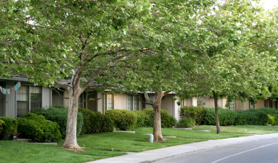 1600 Valdora Street - Photo 2 of 8