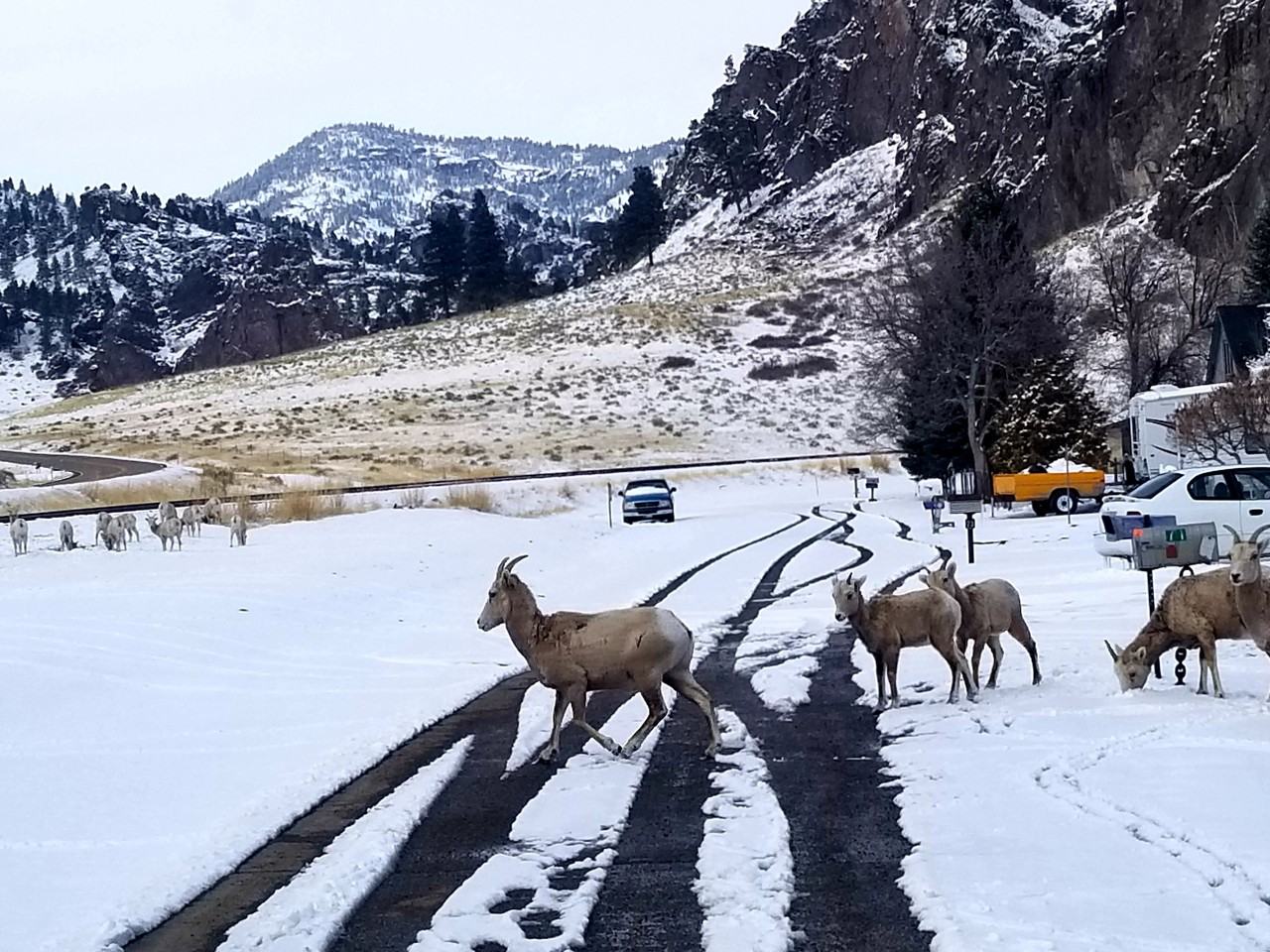 2 Meadowlark Sq #NA - Photo 2 of 21