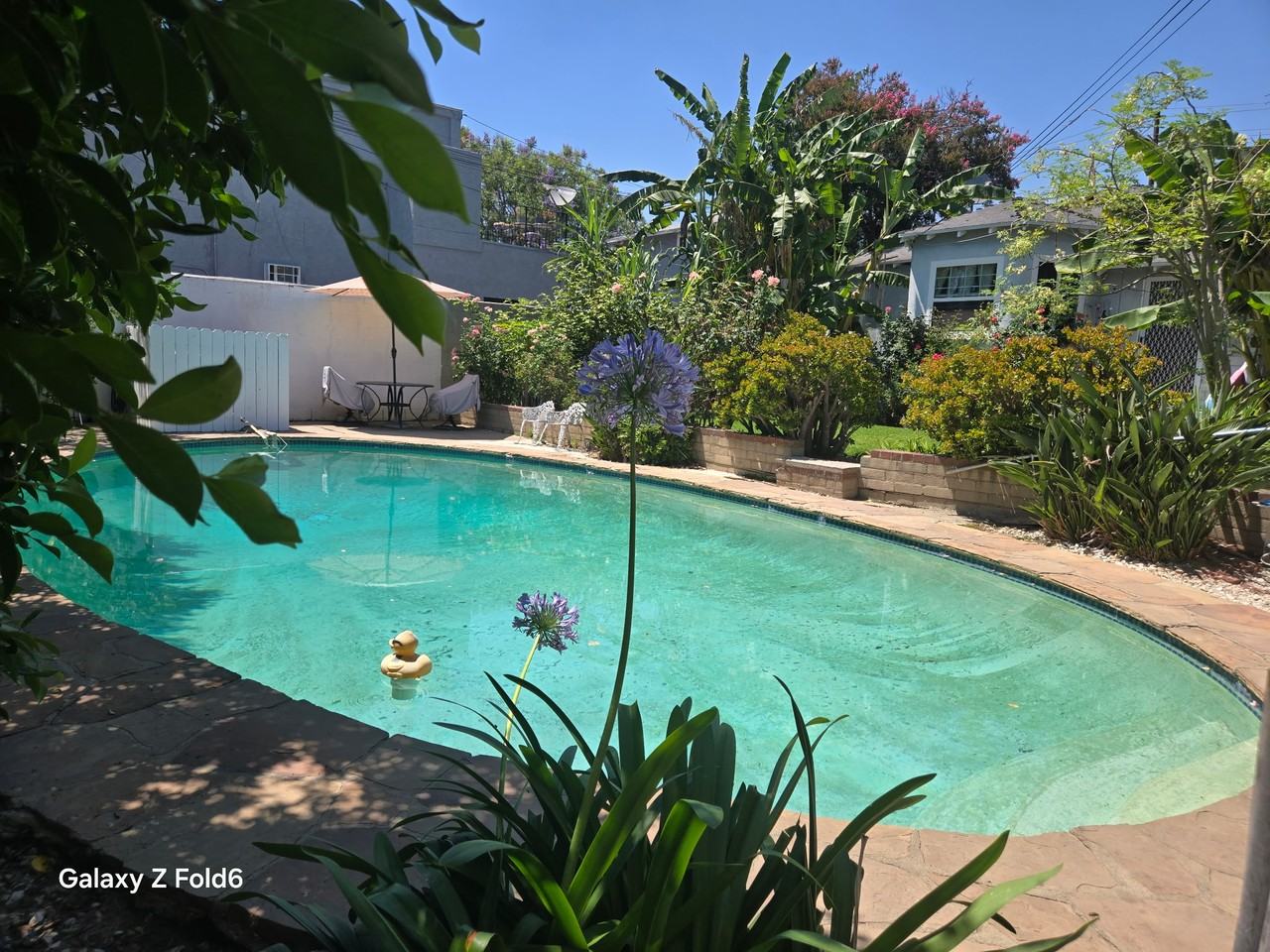 1810 W Victory Blvd #A - Photo 3 of 29