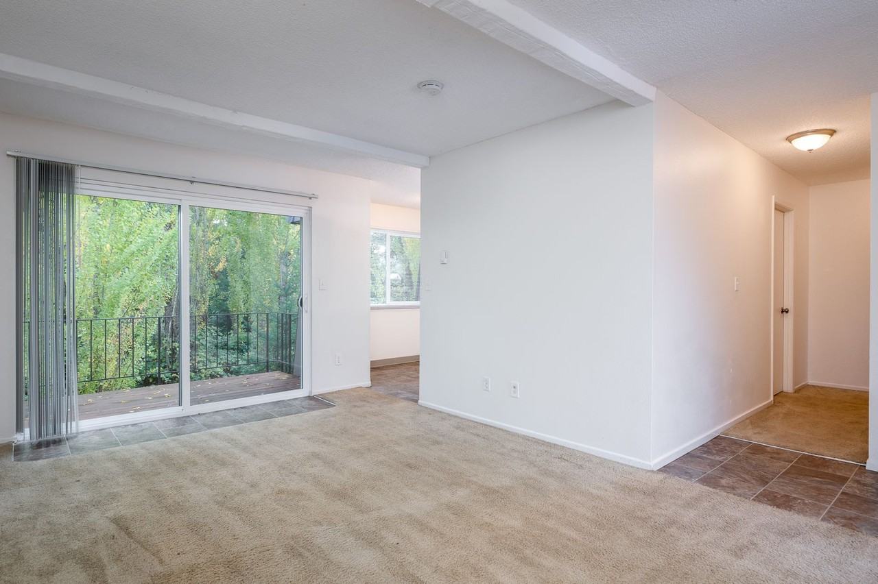 Sun Brook - Photo 7 of 7