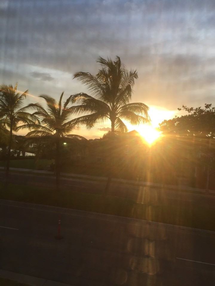 91-2220 Kaiwawalo St #805