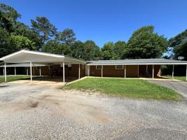 featured image of Venita Dr