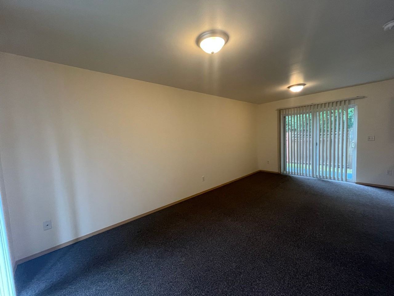 1713 Carolina St #111 - Photo 4 of 17