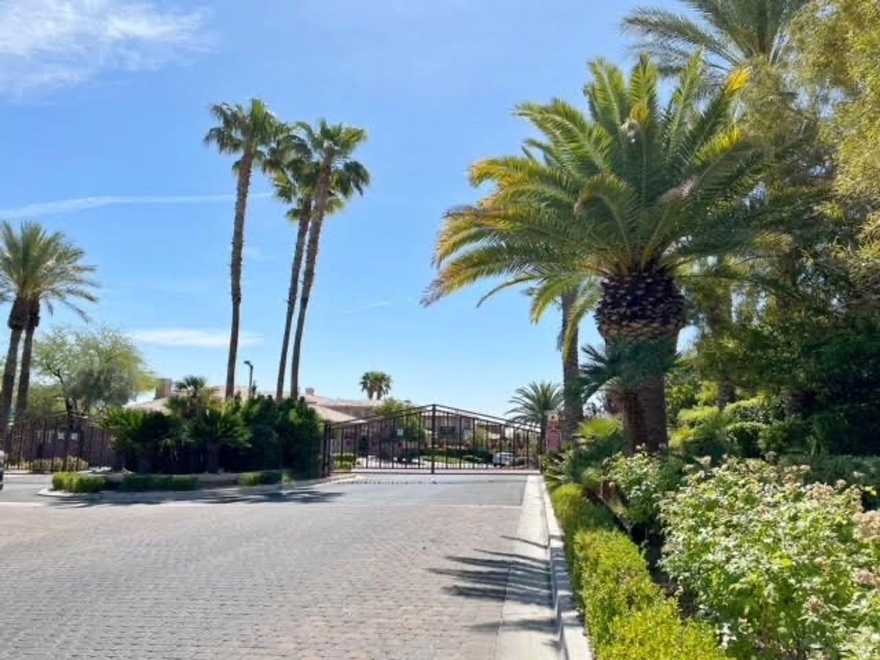 101 North Buteo Woods Lane - Photo 6 of 47