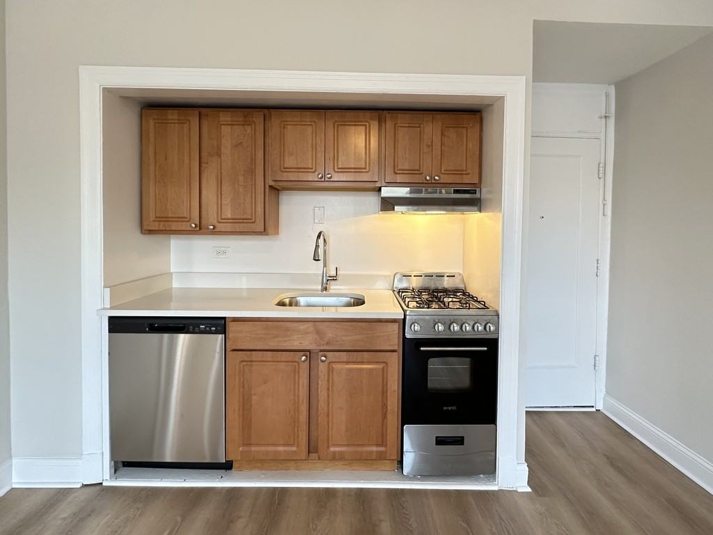 3335 W Diversey Ave #137 - Photo 3 of 21