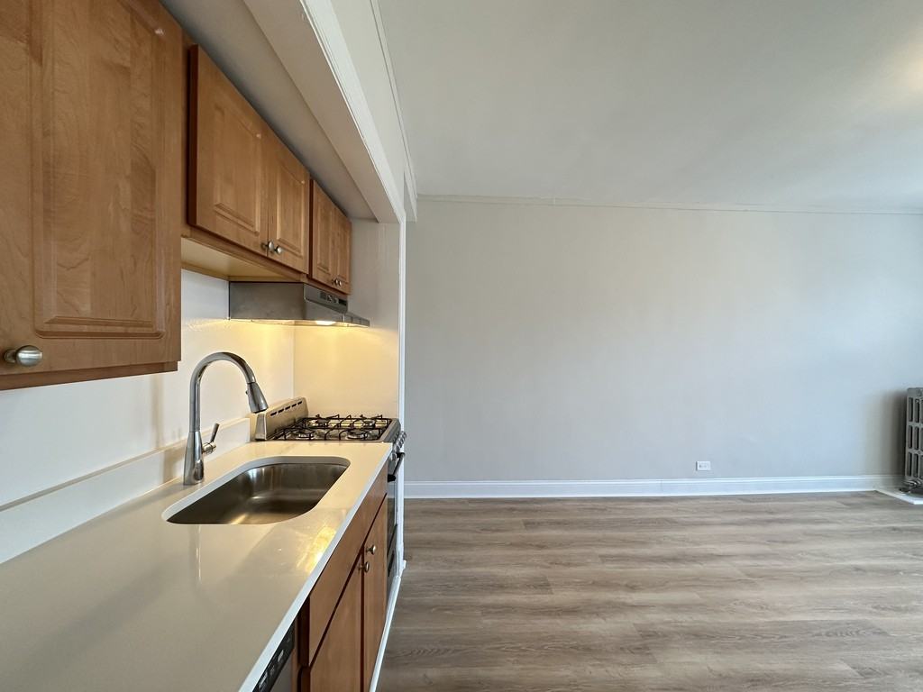 3335 W Diversey Ave #137 - Photo 5 of 21