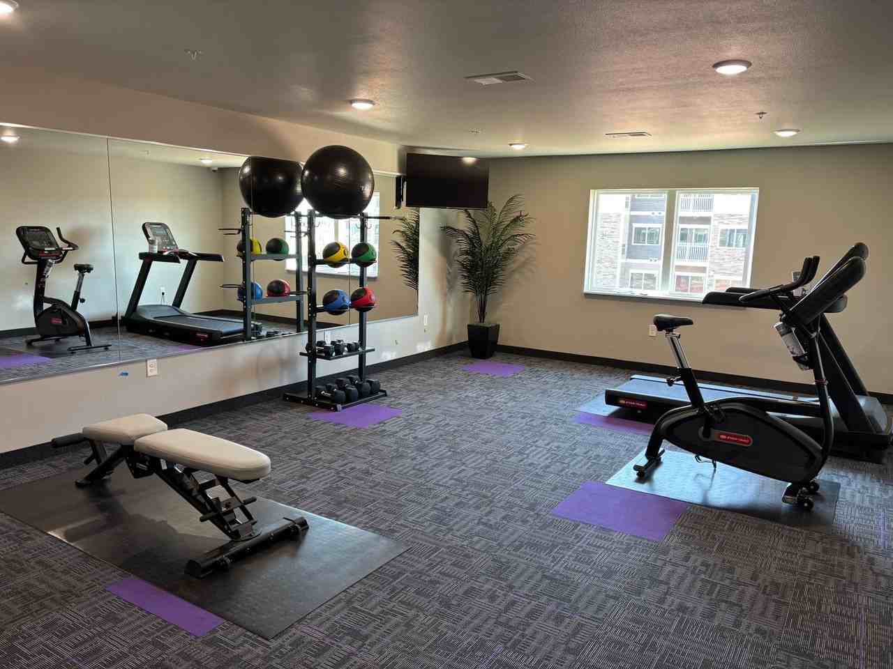 Hickory Grove Apartments (A) - Photo 5 of 20