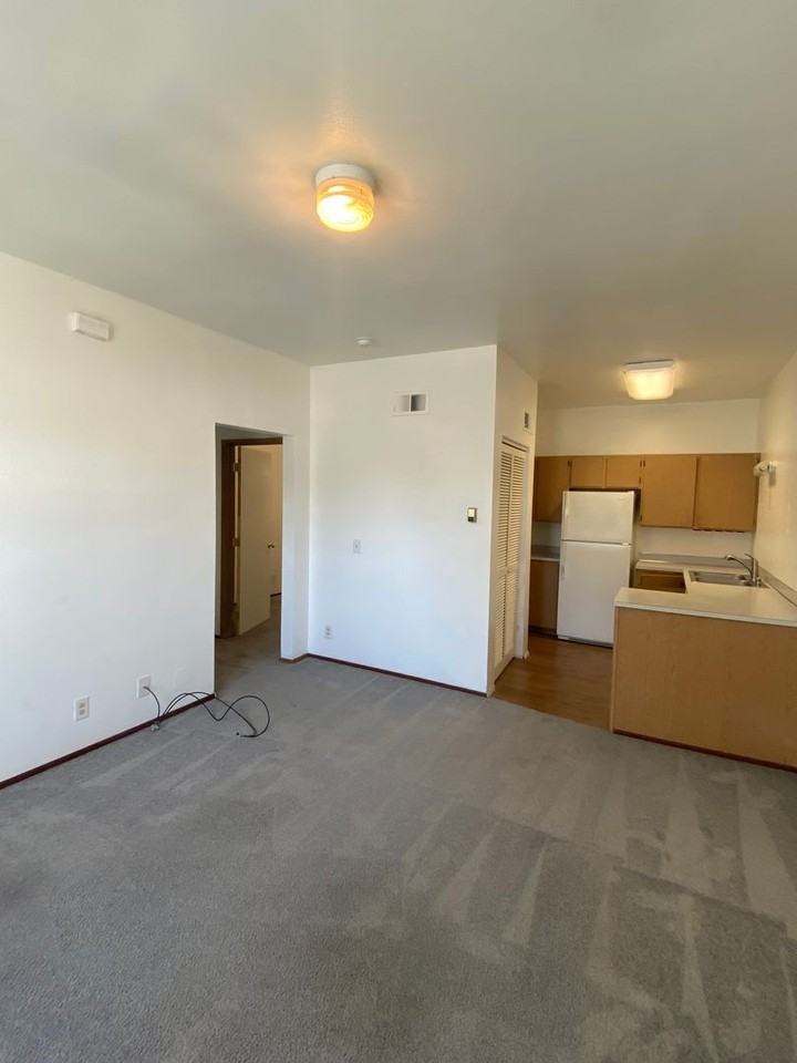 E Chestnut Apartments: 1 - Photo 2 of 29