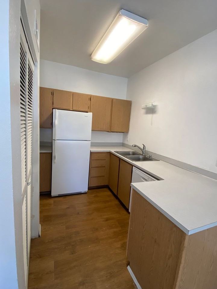 E Chestnut Apartments: 1 - Photo 4 of 29