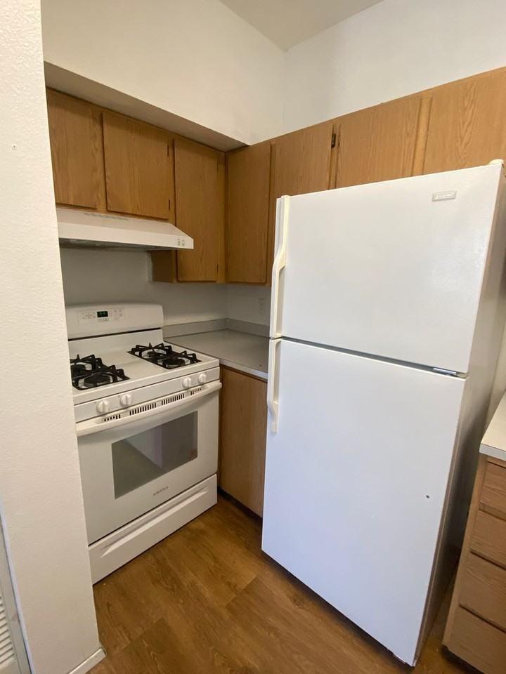 E Chestnut Apartments: 1 - Photo 5 of 29