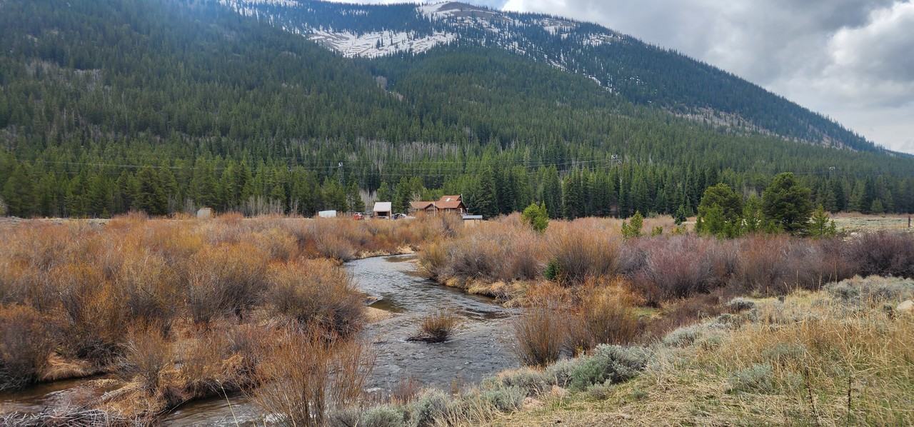 2994 Highway 91 #2 - Photo 2 of 2