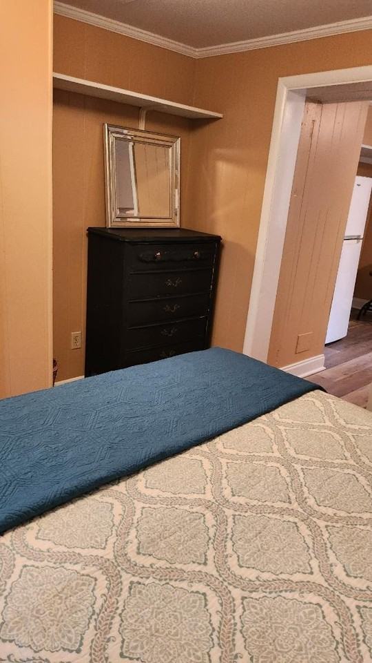 43 Caledonia Rd #6 - Photo 4 of 16