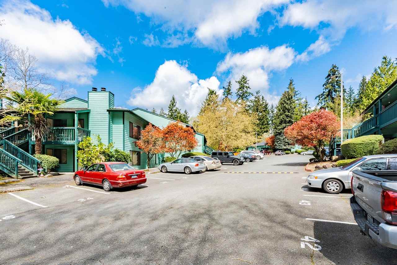 Town Centre - Photo 2 of 50