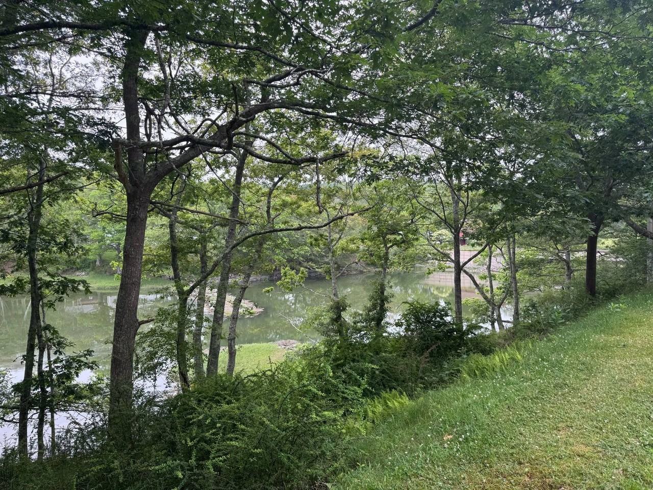 849 Five Islands Rd - Photo 3 of 23