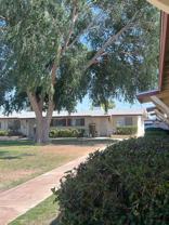 10371 W Peoria Ave - Photo 1 of 1