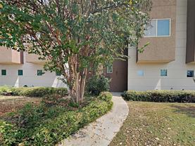 1508 Hope St - Photo 1 of 1